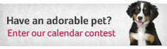 Adorable Pet Calendar Contest