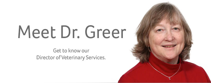 Meet Dr. Greer